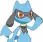Riolu(Kaori)