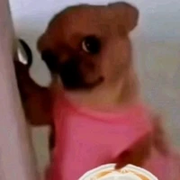 𝘽𝙞̀𝙣𝙝 𝙇𝙪𝙖̣̂𝙣 1