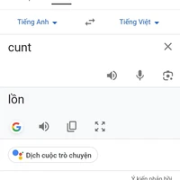 tất cả mn người