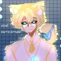 Hiha Anti Catnap