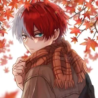 Shoto Todoroki