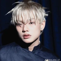 Bùi Trường Linh17t