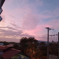 tác giả