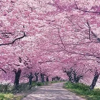 trợ lý ( hệ thống)