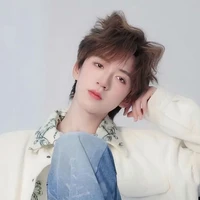 Hạ Tuấn Lâm