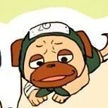 pakkun