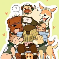 đàn chó cảnh khuyển của Kakashi