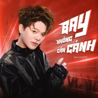 NGUYỄN QUANG  ANH