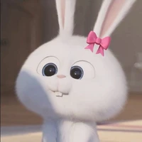 Lacy