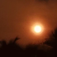 All