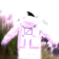 Pé5 cutii