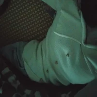 ⏤✟͟͟͞͞Meo•★Simp Vk Thứ 2 Ko Ai Chủ Nhật★