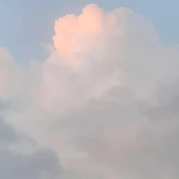 NVP