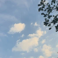 tác giả nè mọi ng