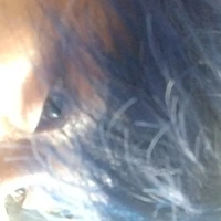 Tác Giả Mến Êu