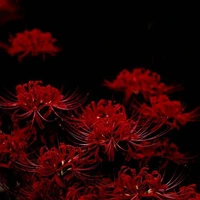 All mọi người trừ ai tự biết!!