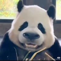 Hai mặt như cồn lặc 〔𝕃〕