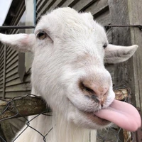 Dê có IQ siêu cao 〔𝕃〕