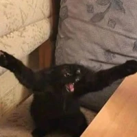 😼( 🐦❤️🐘)