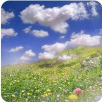 cả bọn nhân viên 