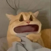 Con điên 😔⚠️