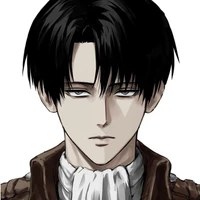 Levi