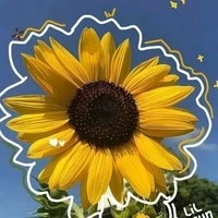 e-kip chương trình