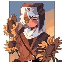 Ussr Union of Soviet Socialist Republics