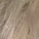 Allbot