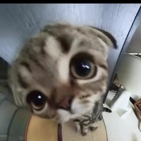 ꓄/ꍌ ꉧ꒐ꋊ Đꏂ̣ꉣ ꋊꁝꋬ̂́꓄