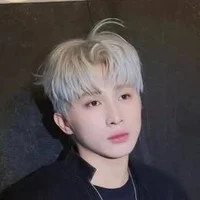 Lê Hồng Sơn