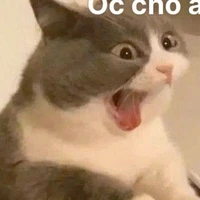 Nhân vật phụ