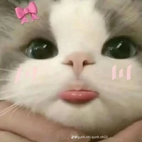 cô bé