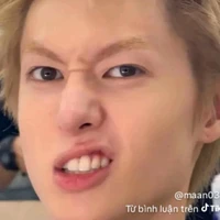 Tác giả kute hột me