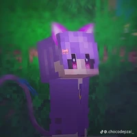 Tác giả (lụy Catnap)