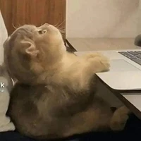 t/g mê BL
