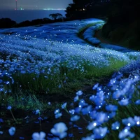 em của tác giả ( yuki)