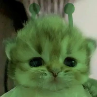 tất cả nv