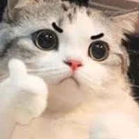 tác giả