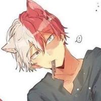 Shoto Todoroki
