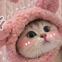 t/g bj mát mát tẻn tẻn