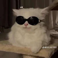 Đám đông