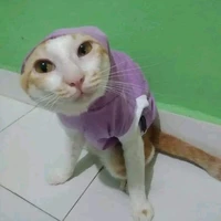 lá thúi địch(mồn lèo)