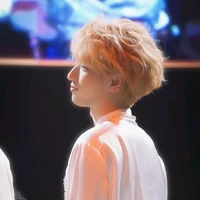 Nghiêm Hạo Tường