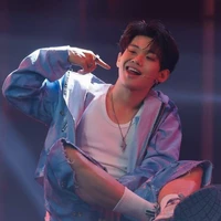 Cú đêm bay đến đây