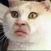 hệ thống - cức