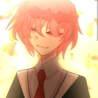 TT hiha