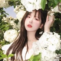 Hạ Hoài Anh(Bảo Thy)