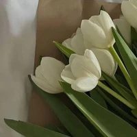 Sư Vô Độ, đầu ngươi đâu rồi?