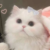 Hannie Meow🖤